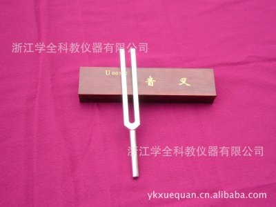 中小學(xué)音樂(lè )儀器